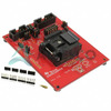 MSP-TS430RGE24A
